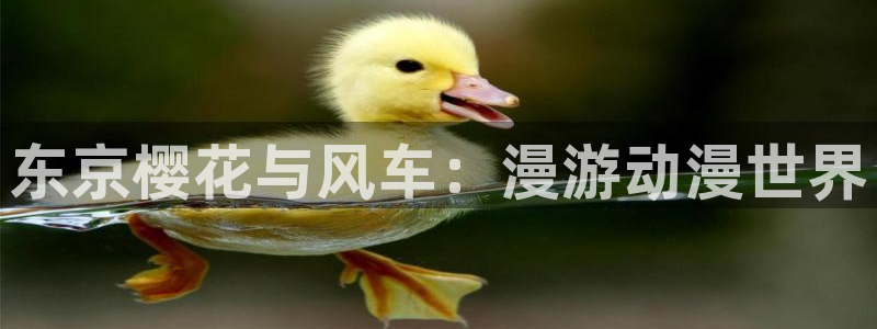omofun怎么下