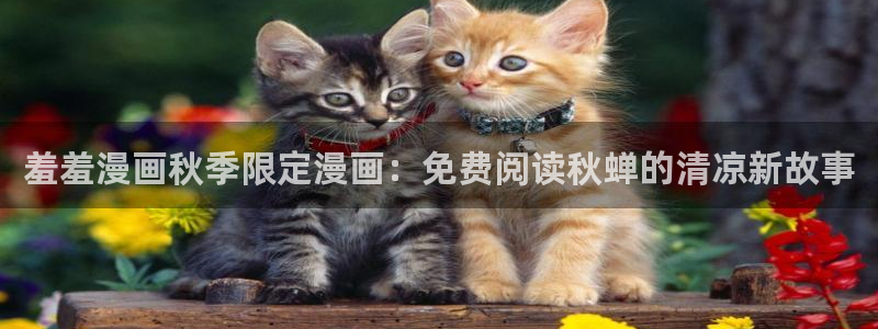 omofun电脑版：羞羞漫画秋季限定漫画：免费阅读秋蝉的清凉新故事