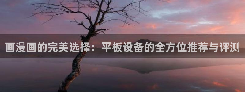 omofun. link：画漫画的完美选择：平板设备的全方位推荐与评测