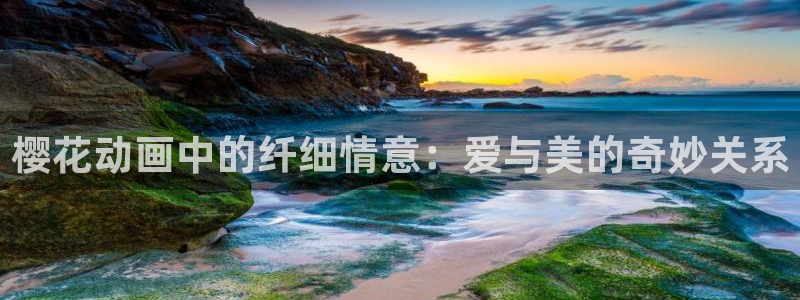 www.omofun.com：樱花动画中的纤细情意：爱与美的奇妙关系