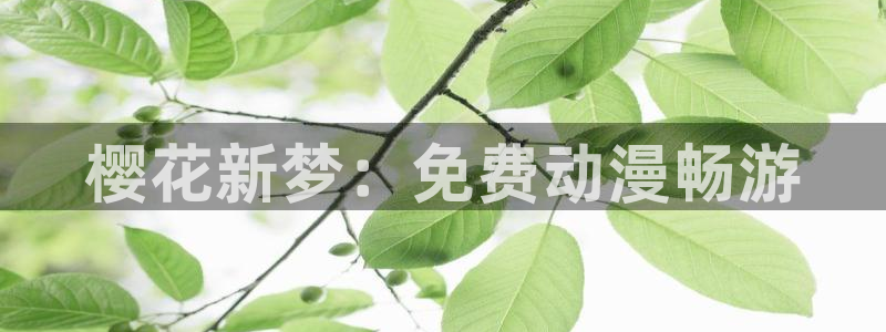 omofun漫画官网入口：樱花新梦：免费动漫畅游