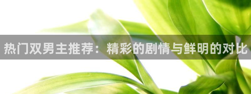 omofun动漫正版下载入口：热门双男主推荐：精彩的剧情与鲜明的对比