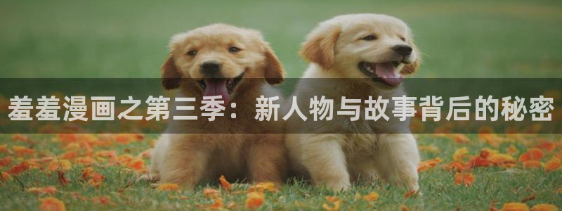 omofun纯净版2024：羞羞漫画之第三季：新人物与故事背后的秘密