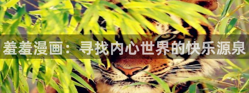 omofun动漫正版入口下载