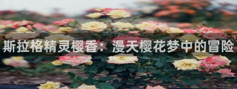 omofun正版官方：斯拉格精灵樱香：漫天樱花梦中的冒险