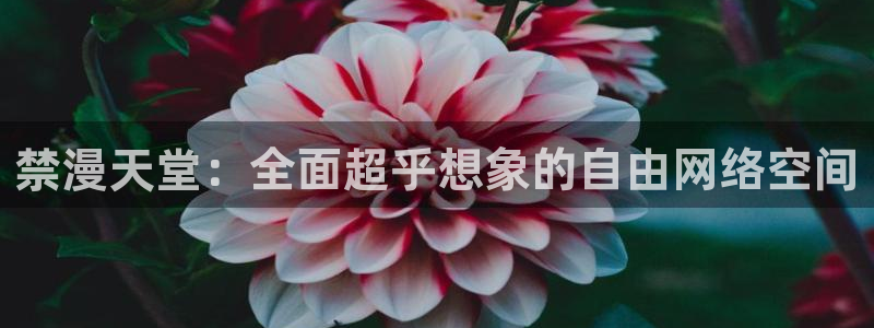 omofun漫画官网入口：禁漫天堂：全面超乎想象的自由网络空间