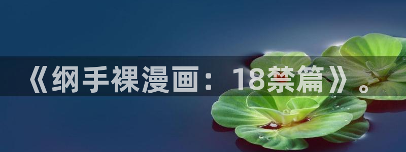 omofun的官网：《纲手裸漫画：18禁篇》。