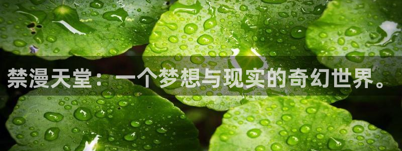 omofun 动漫