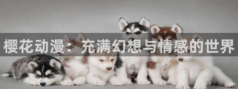 #omofun：樱花动漫：充满幻想与情感的世界
