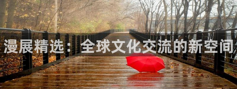 omofun网页版：漫展精选：全球文化交流的新空间
